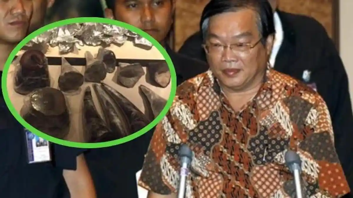 Selundupkan 219 Kilogram Cula Badak, Warga Malaysia Dipenjara di AS Selama 18 Bulan