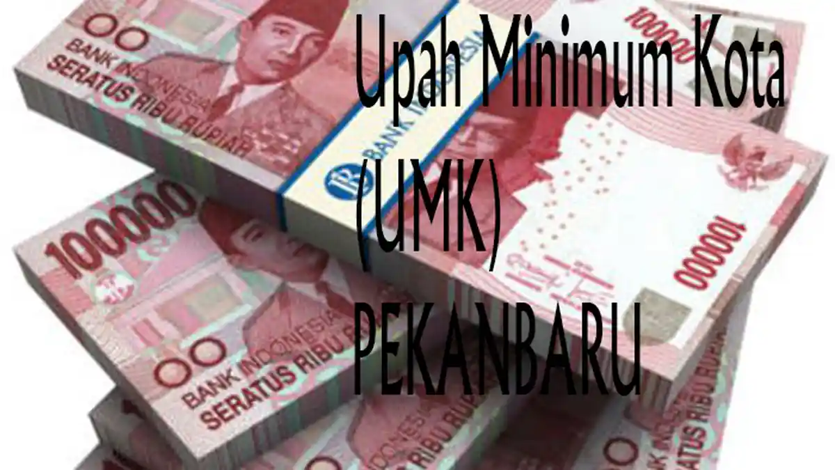 UMK Pekanbaru 2024 Sudah Diusulkan Disnaker Rp 3,4 Juta, Begini Harapan DPRD ke Perusahaan