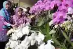 Asia Afrika Orchid Pameran dan Seminar Anggrek