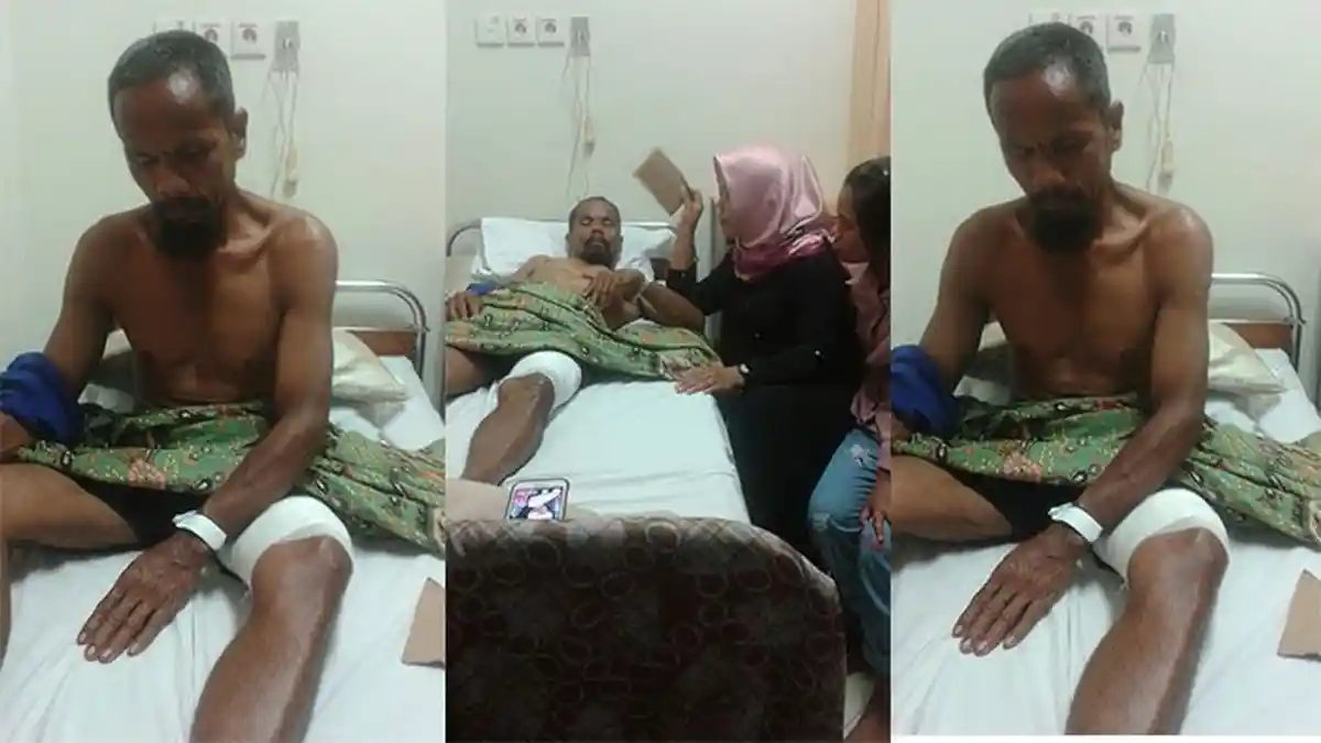 Kisah Dasril Dikeroyok Dua Beruang Madu, Satu Berhasil Dibacok Satunya Lagi Menyerang