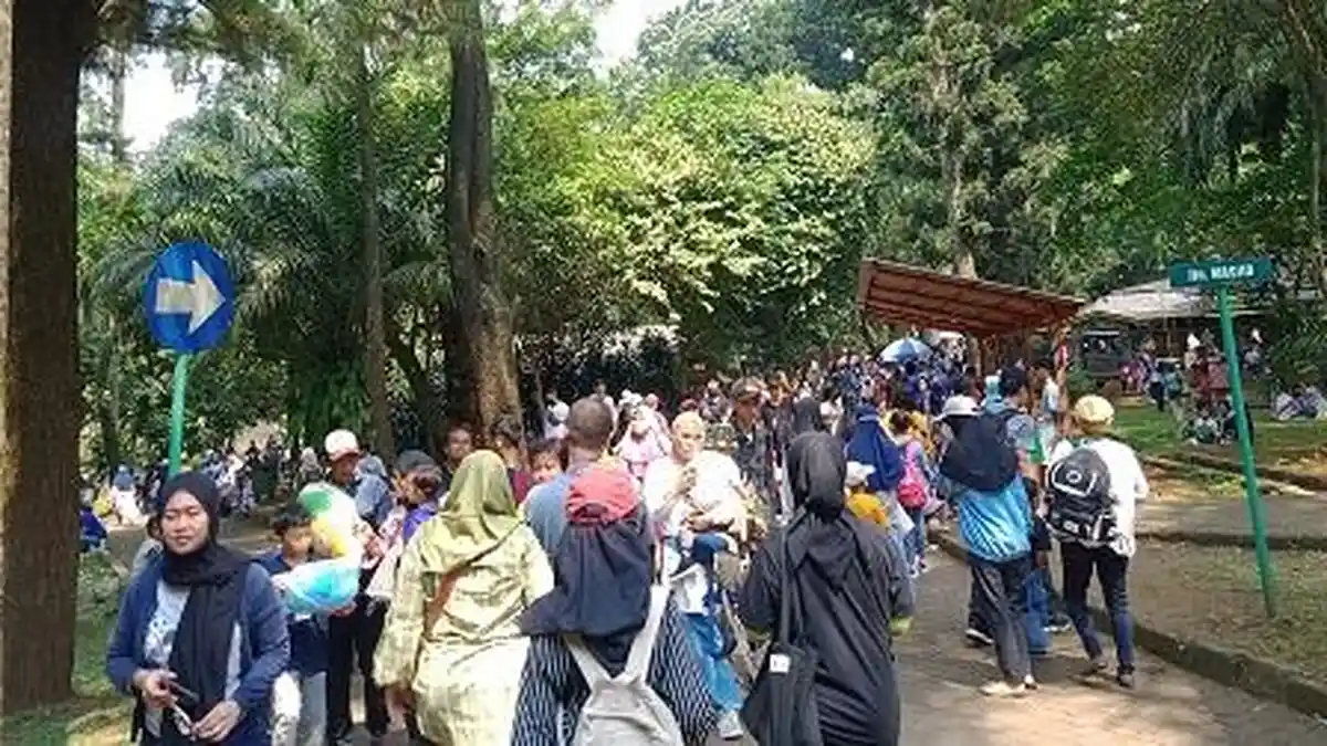 H+3 Lebaran, 29.505 Wisatawan Kunjungi Taman Margasatwa Ragunan