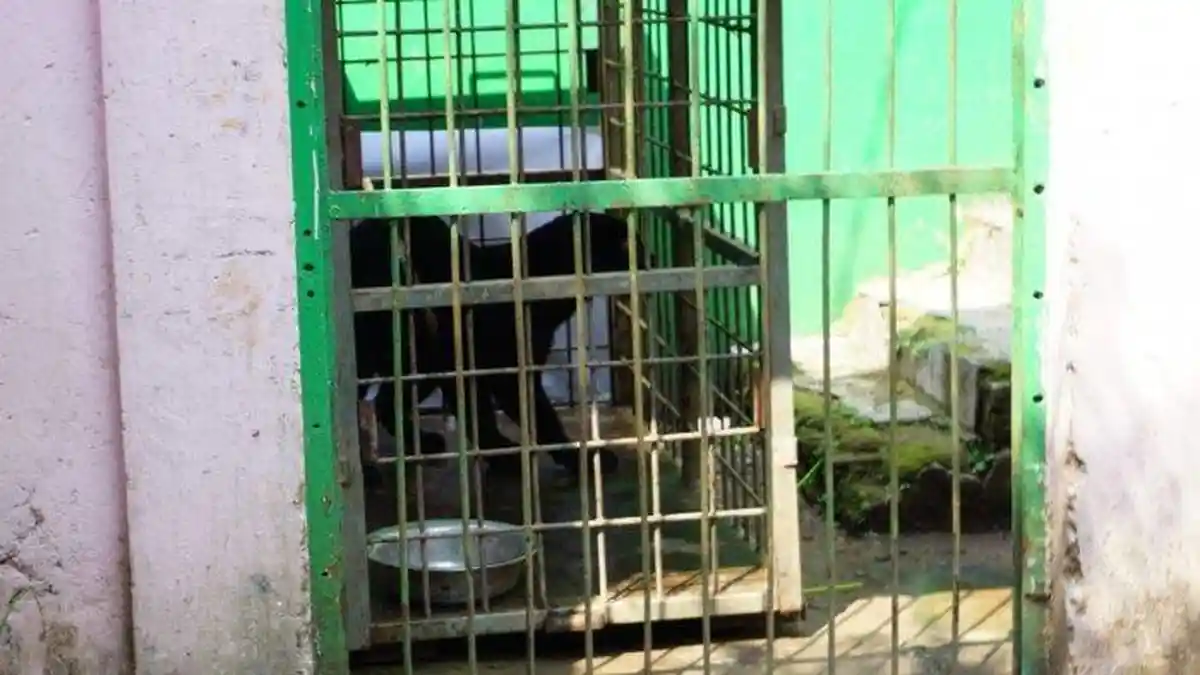 Macan Tutul yang Masuk ke Permukiman Warga di Subang akan Dilepasliarkan 9 Juli