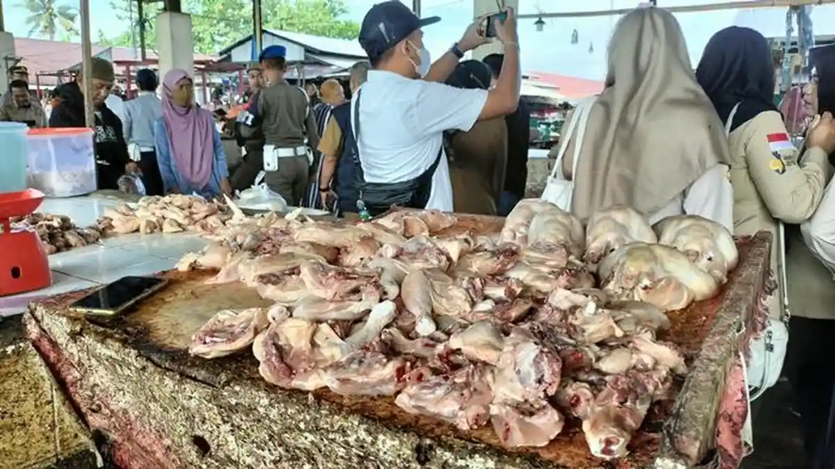 Harga Daging Ayam di Musi Rawas Turun Sejak Awal Oktober, Pedagang Akui ...