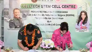 STEM-CELL-RSPPN.jpg