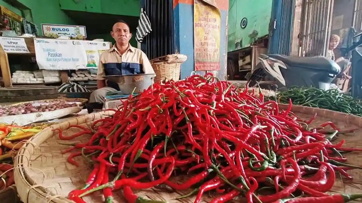Ngeri, Harga Cabai di Purwokerto Tembus Rp 100 Ribu per Kilogram