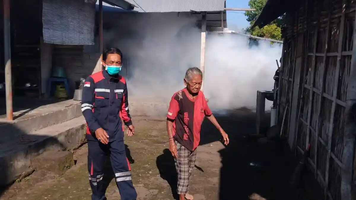 Februari Sentuh 200 Kasus DBD, Kasus DBD Melonjak di Karangasem, Januari Tercatat 125 Kasus