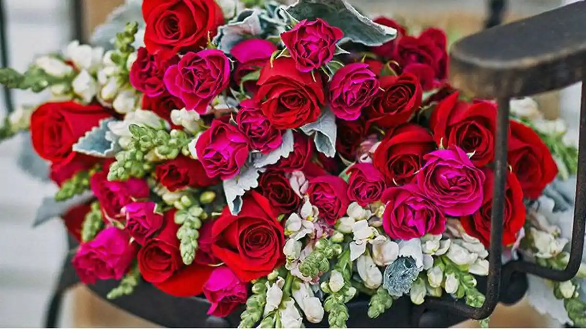 Jangan Salah Pilih! Catat 5 Jenis Bunga Terbaik Untuk Hari Valentine, Punya Arti Berbeda