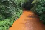 BREAKING NEWS: Sungai Desa Mayayap Banggai Tercemar, Diduga Dampak Tambang Nikel