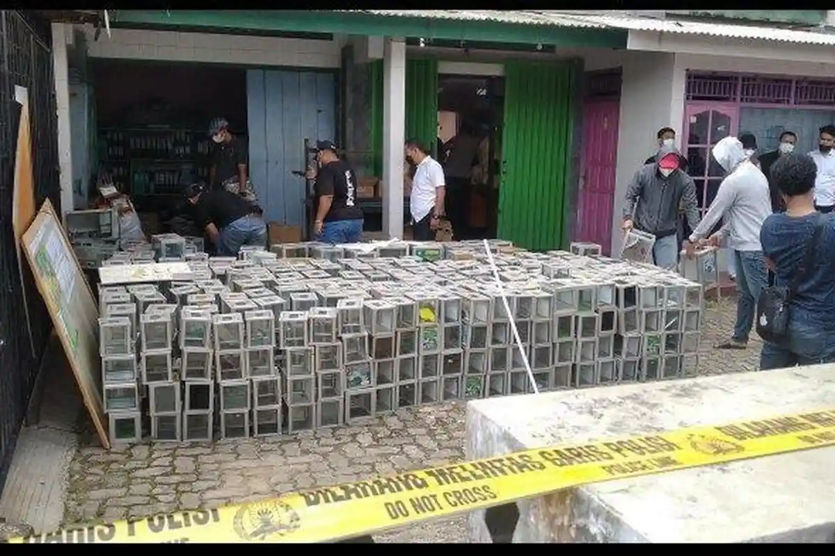 MUI Minta Densus 88 Antiteror Diminta Tindak Tegas Pelaku Teror di Papua, KKB Papua