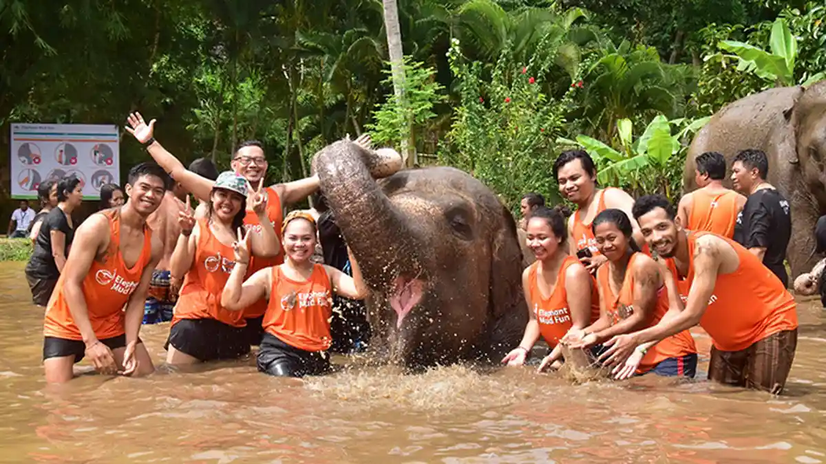 Paket Terbaru Dari Bali Zoo 'Elephant Mud Fun', Mengajak Tamu Main Lumpur Bersama Gajah