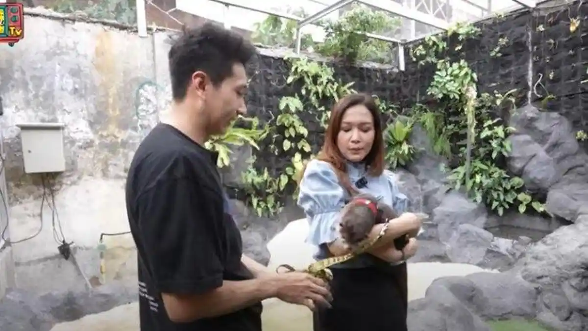 Maia Estianty Ungkap Keinginan Adopsi, Jatuh Cinta Bertemu dengan Otter, Lengket saat Digendong