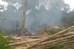 Semak Belukar Mulai Terbakar, Warga Lubuklinggau Diimbau Siaga Karhutla, ini Wilayah Rawan Kebakaran