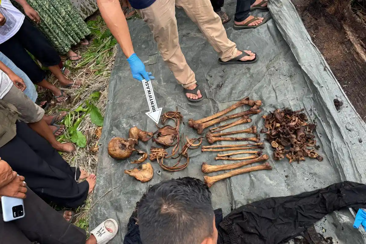 Misteri Kerangka Manusia dalam Pohon Aren di Sergai Terungkap, Pemuda yang Hilang sejak 2 Tahun Lalu