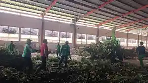 Pelaksanaan-pengolahan-sampah-di-TPST-Kesiman-Kertalangu-Denpasar-19052026.jpg