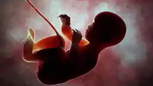ilustrasi-bayi_20160109_161814.jpg