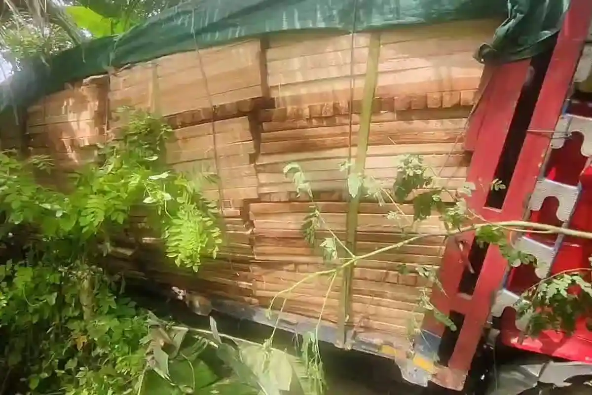 Tronton Bermuatan Kayu Balok di Kalipucang Pangandaran Tabrak Mobil Hingga Terperosok ke Semak-semak