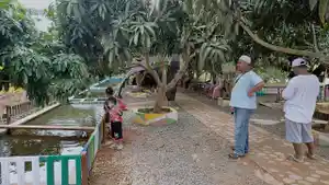 taman-buah-enam-enam.jpg
