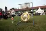 Purina Pro Plan Boot Camp