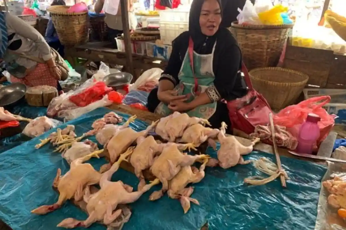 Harga Daging Ayam di Pesawaran Lampung Turun, Pembeli Justru Sepi