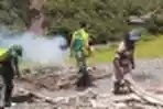 Bakar Batu, Simbol Kedekatan dan Kebersamaan Masyarakat Tsinga d