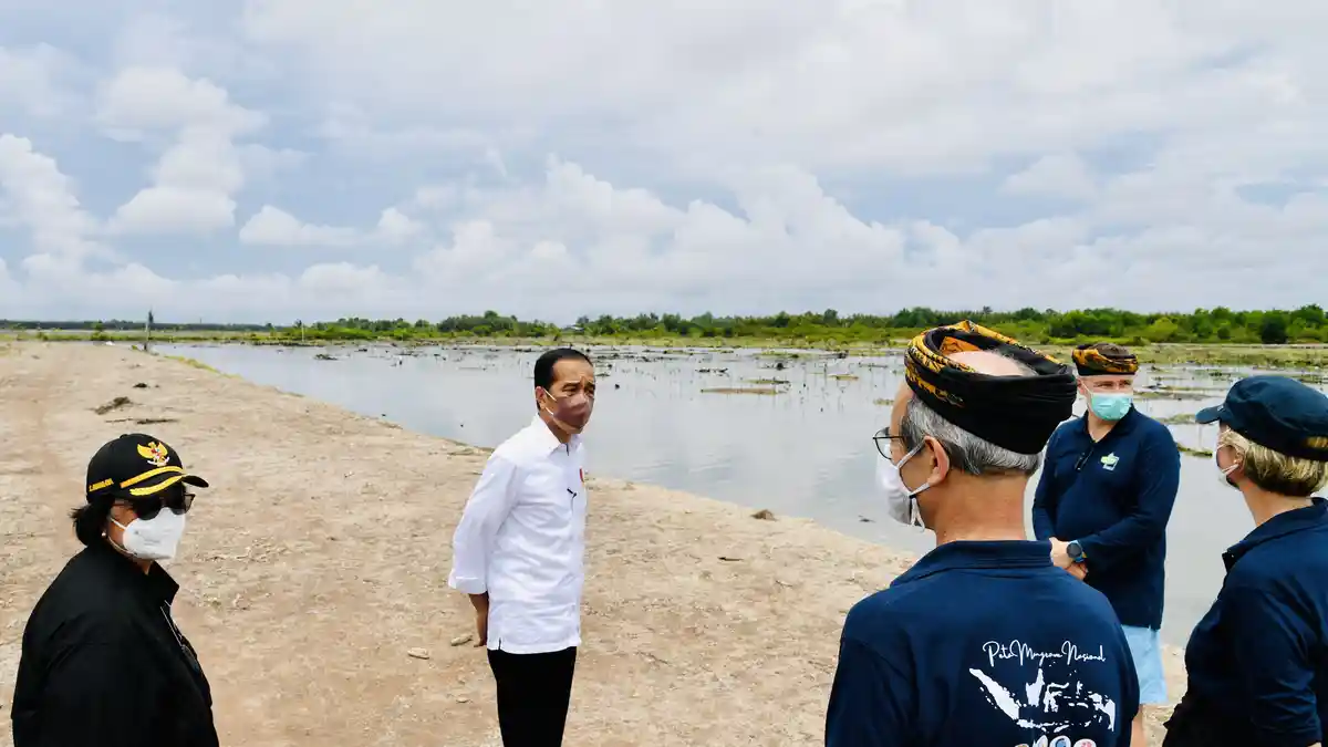Indonesia Menuju COP26, Komunitas Peduli Krisis Iklim Ajak Jokowi Bersama Cegah Darurat Emisi