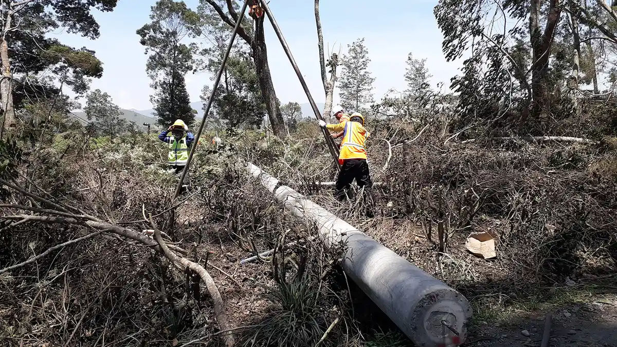 Akibat Sapuan Angin Kencang Puluhan Tiang Listrik Patah & Roboh, Listrik Masih Padam, PLN Minta Maaf