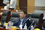 RDP Dengan DPR RI, Bakamla Beberkan Roadmap Penguatan
