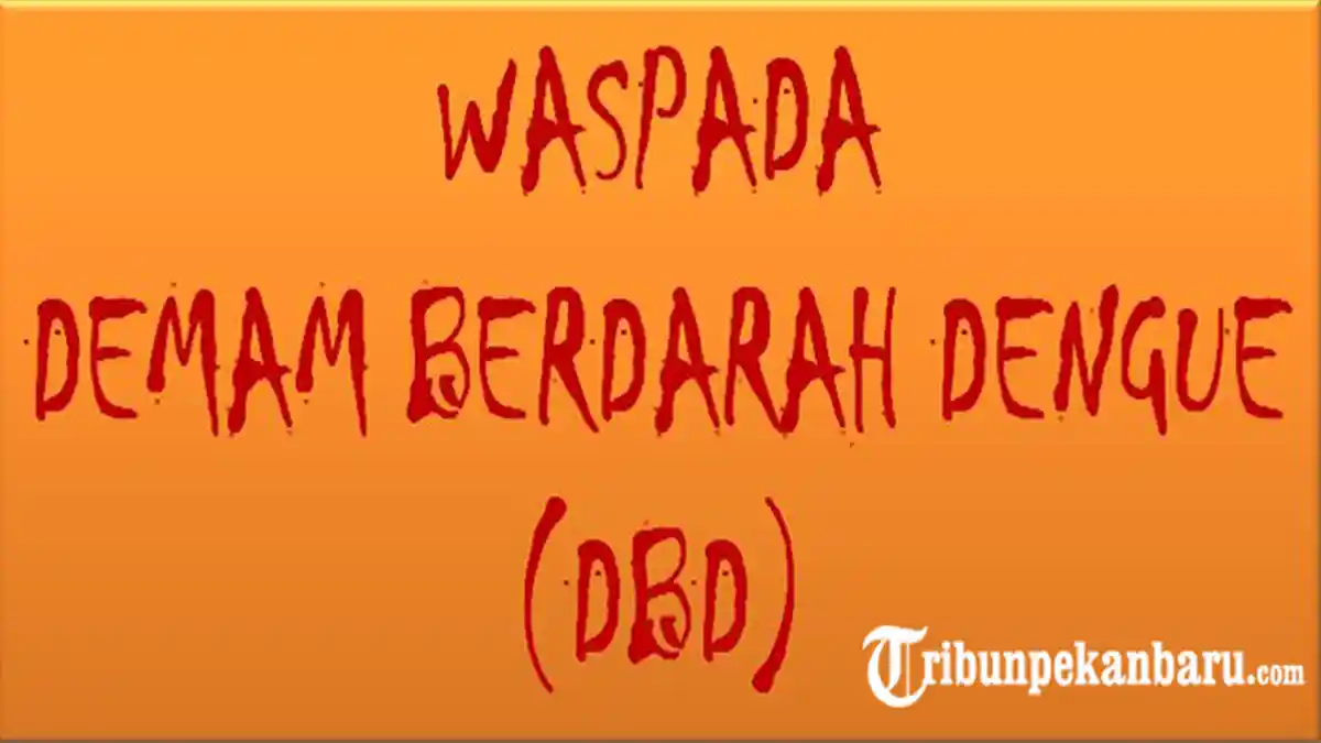 Lagi, Jumlah Warga yang Meninggal karena DBD Bertambah Jadi 4 Orang