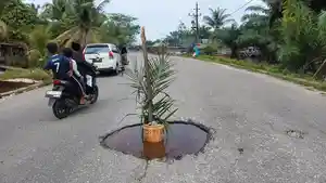 Pengendara-melewati-tanaman-sawit-yang-ditaruh-warga-di-lubang-jalan-provinsi-menuju-Singkil.jpg