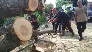 Tim-gabungan-saat-melakukan-evakuasi-material-longsor.jpg