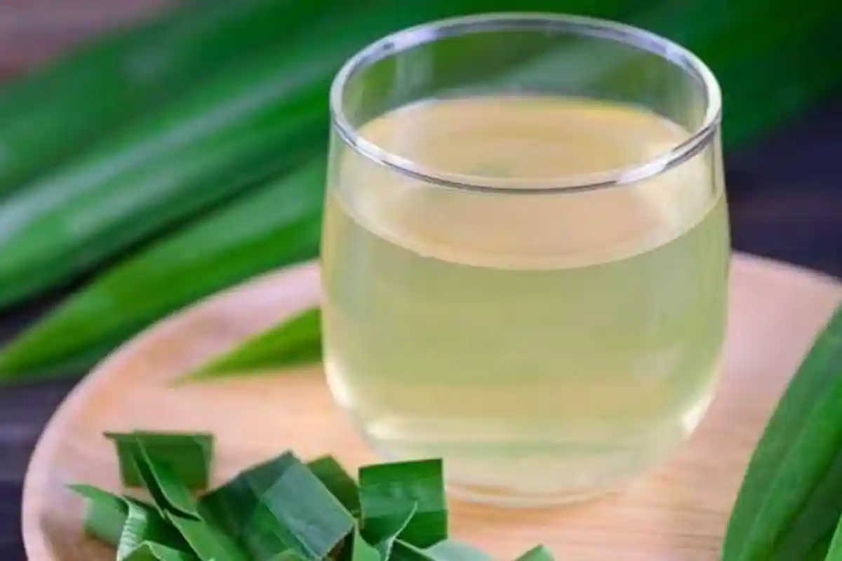 Cara Mudah Mengatasi Insomnia, Cukup Dengan Minum Air Rebusan Daun Pandan