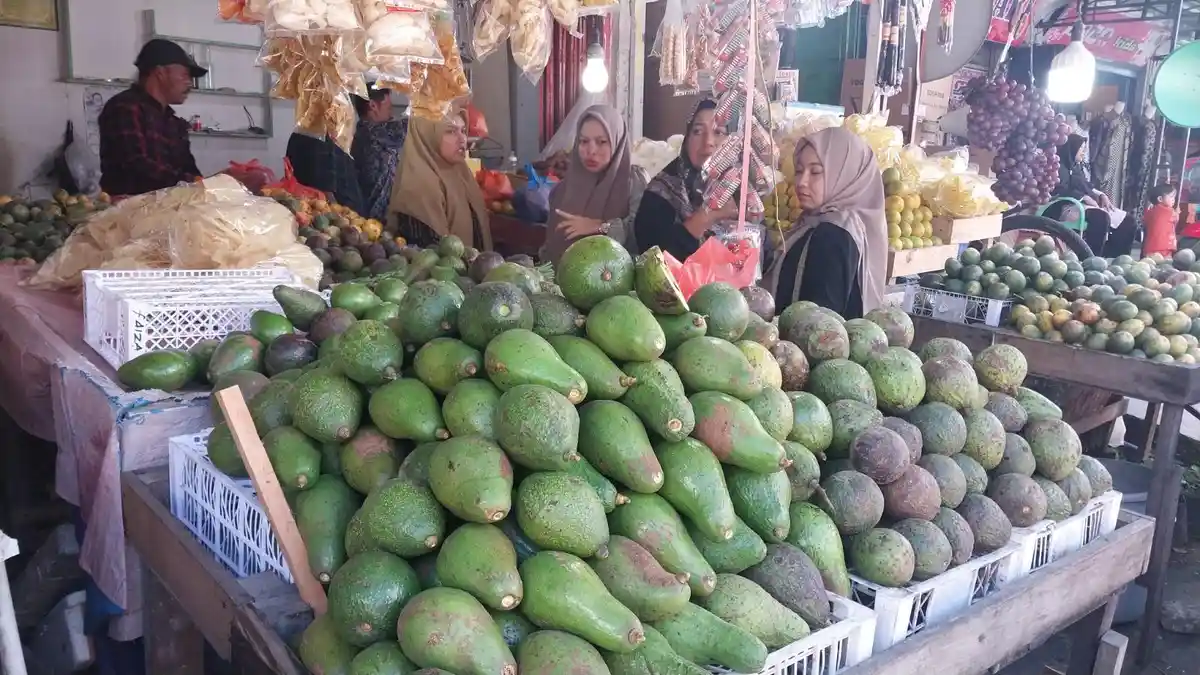 Harga Alpukat di Bener Meriah Dijual Rp 25.000 Per Kilogram