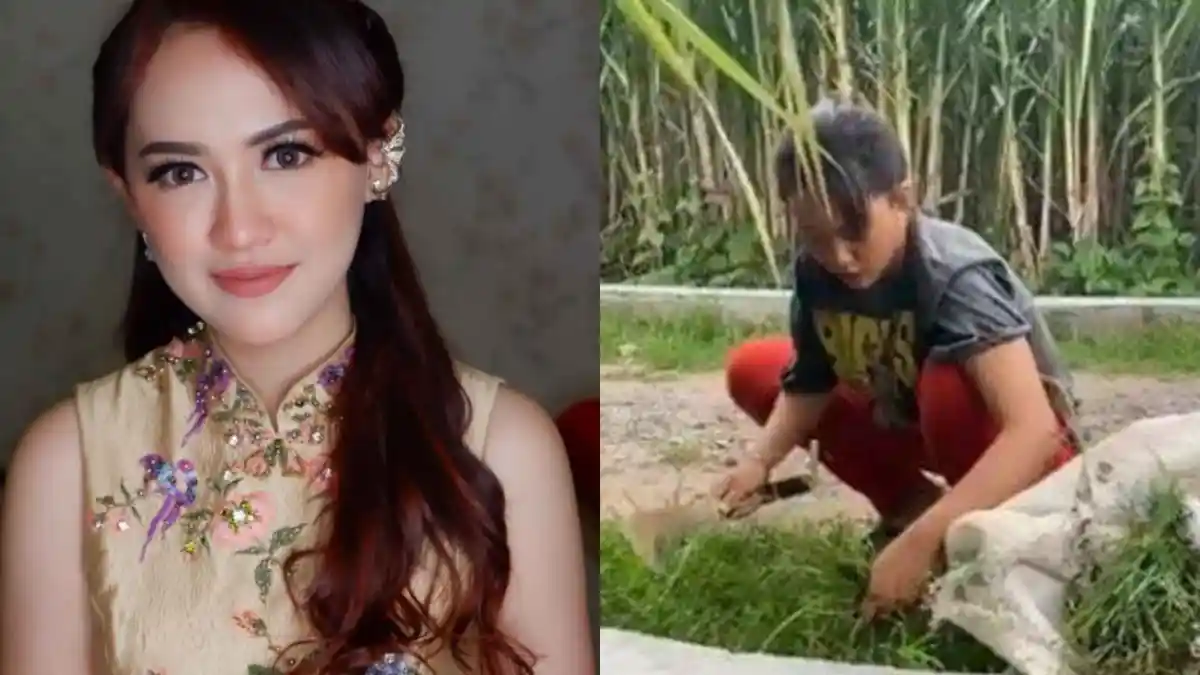 Transformasi Artis Dulu Gadis Pencari Rumput, Kini Terkenal Bergelimang Harta, Penampilan Glow Up