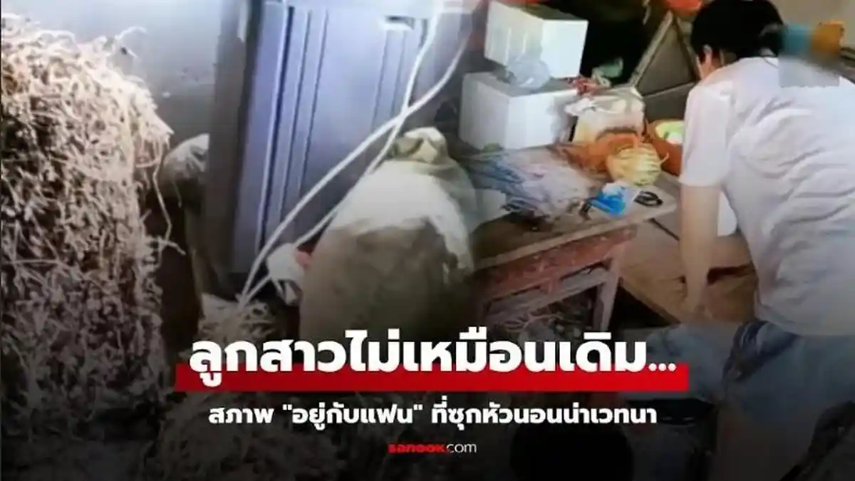 Putrinya Diusir karena Nikahi Pria yang Tak Direstui, Ibu Ini Syok saat Mengunjungi Sang Anak