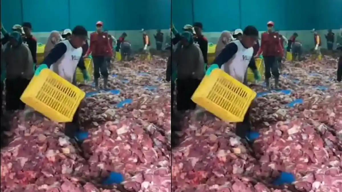 4 Fakta Idul Adha 1446 H di Desa Batur Banjarnegara: 720 Hewan Kurban, Bayi dan Tamu Dapat Daging