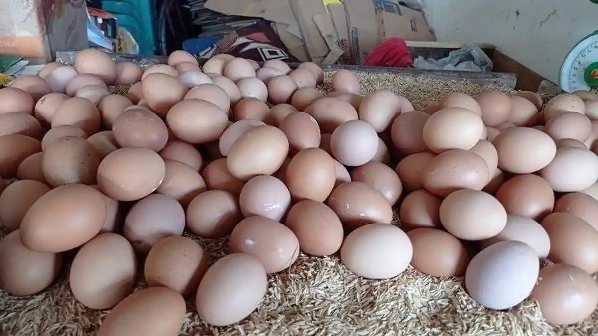 Update Harga Sembako di Palembang 24 Febuari 2026, Telur Ayam Nyaris Rp 30 ribu/ Kilo