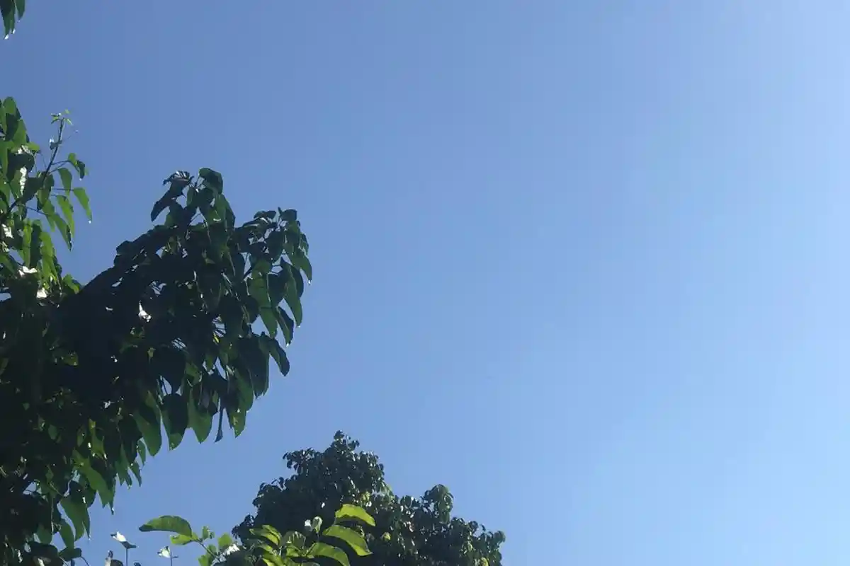 Cuaca Gorontalo Jumat 26 Agustus 2022 Besok, BMKG: Hujan, Petir, Angin di Suwawa dan Pinogu