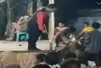 PenariUlarrrrsdf.jpg