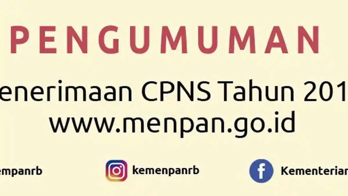 61 Instansi Pemerintah Buka 17.928 Lowongan CPNS, Ini Daftar Formasinya