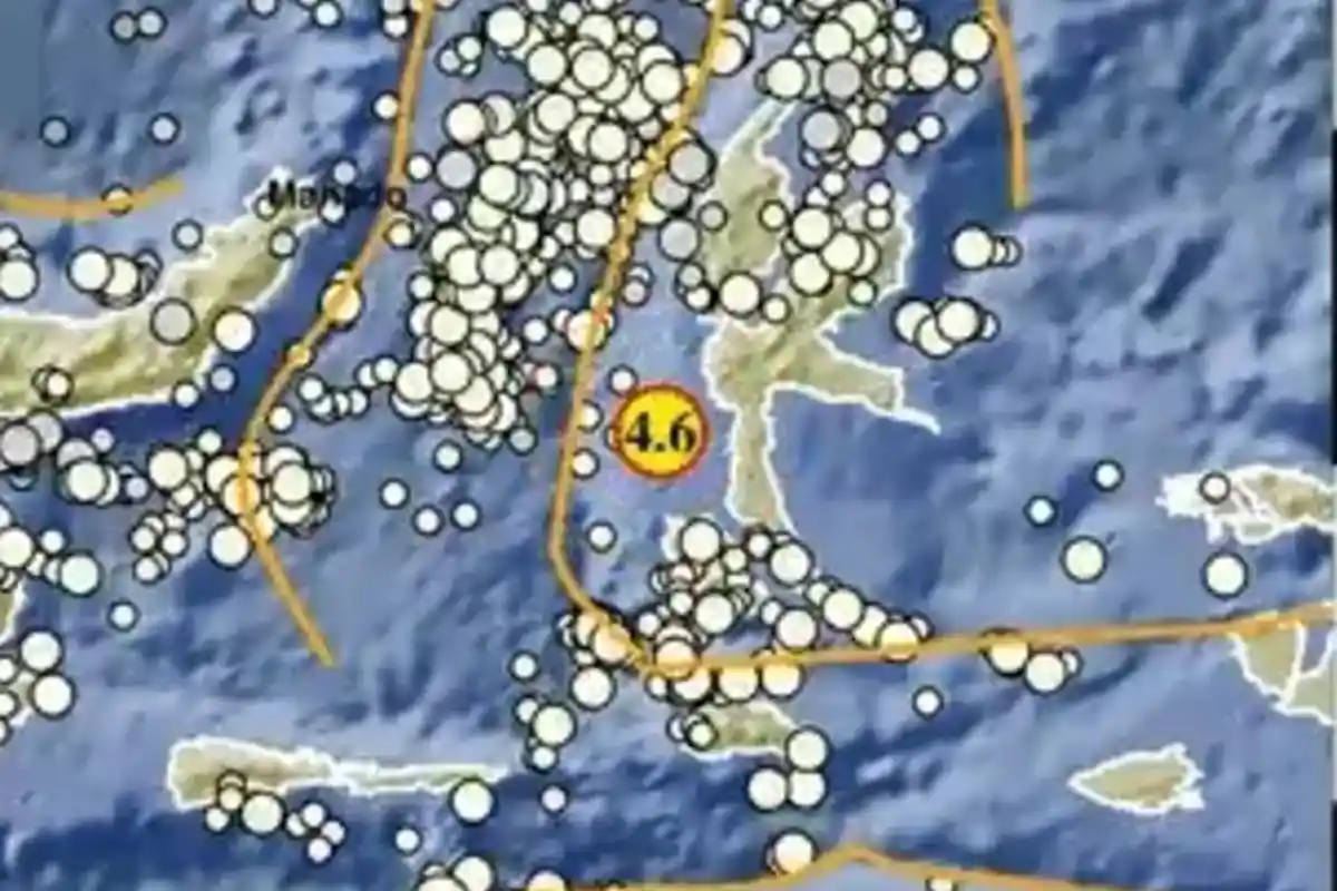 Gempa Terkini di Barat Daya Tidore Maluku Utara Selasa 21 Februari 2023, Kata BMKG soal Pusat Gempa