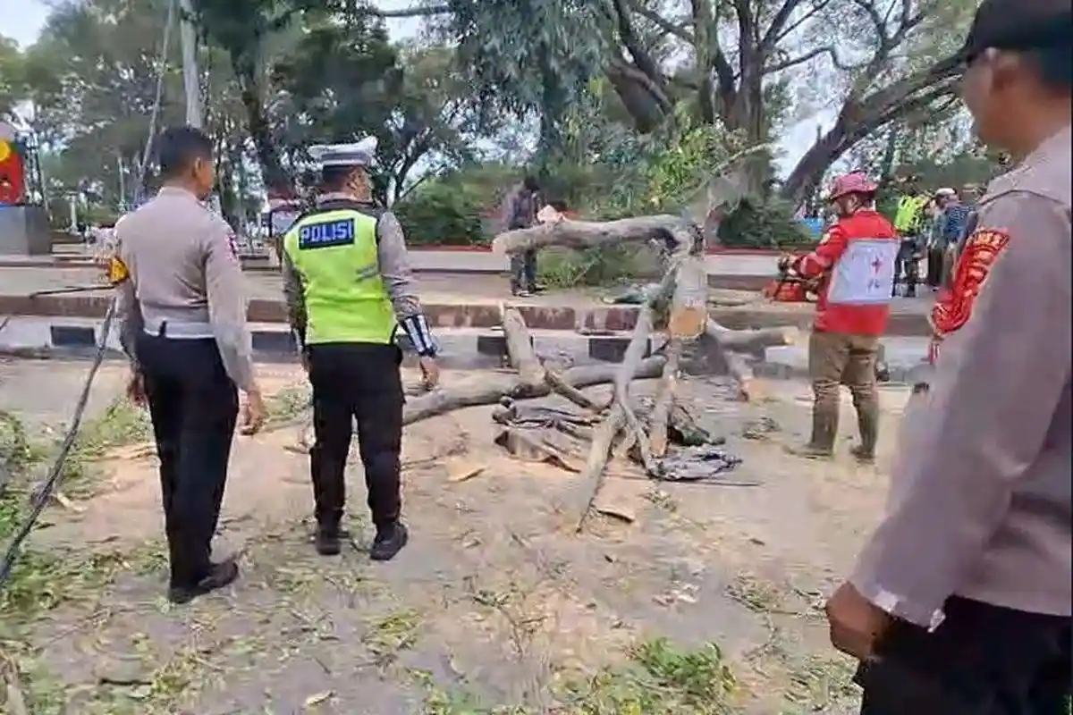 Misteri Penyebab Pohon Beringin Tumbang Tewaskan 2 Jemaah Salat Id di Pemalang, Ini Kata Polisi