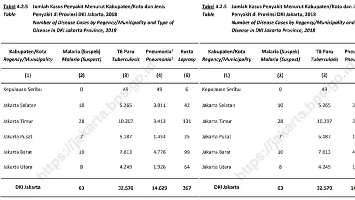 BPS Catat Kasus Kusta, Malaria, dan Tuberkulosis Paling Banyak se-DKI Ada di Jakarta Timur