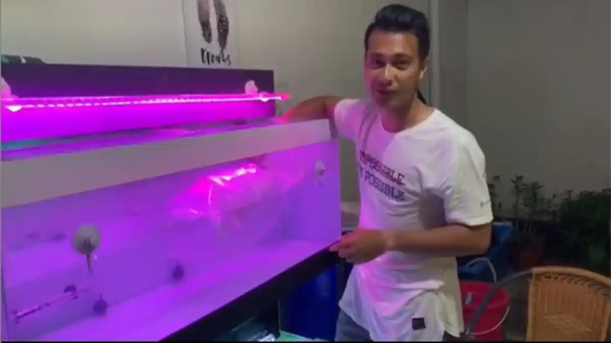 Kabar Terbaru Perseteruan Eza Gionino dan Qory Penjual Ikan Arwana asal Kalbar