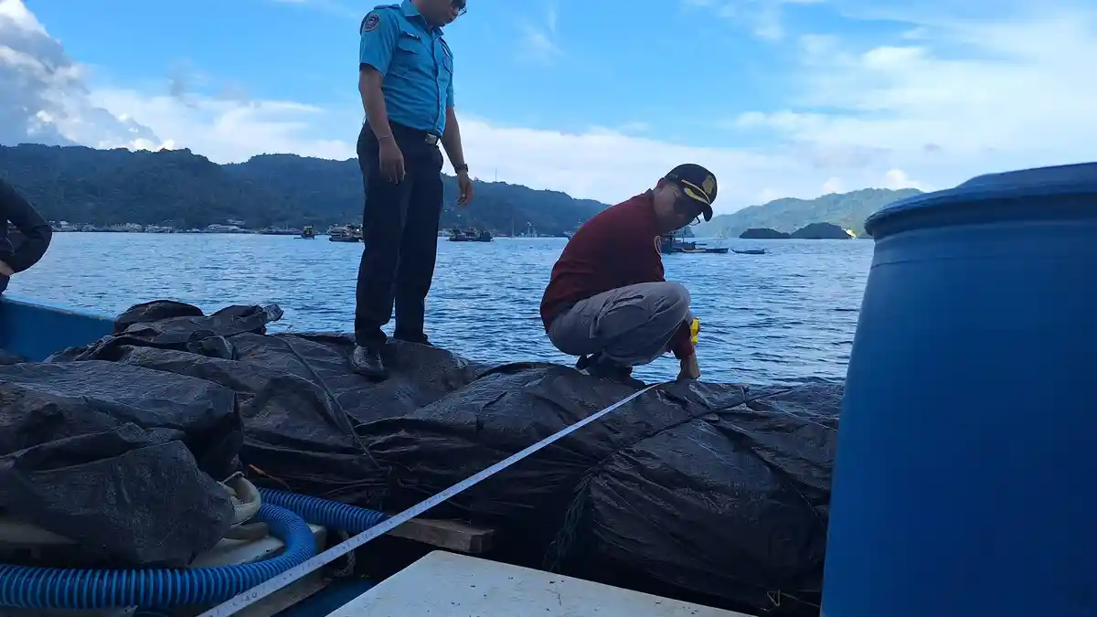 PSDKP dan Syahbandar Perikanan Bitung Temukan Indikasi Markdown Ukuran KM Ayra Rene 01