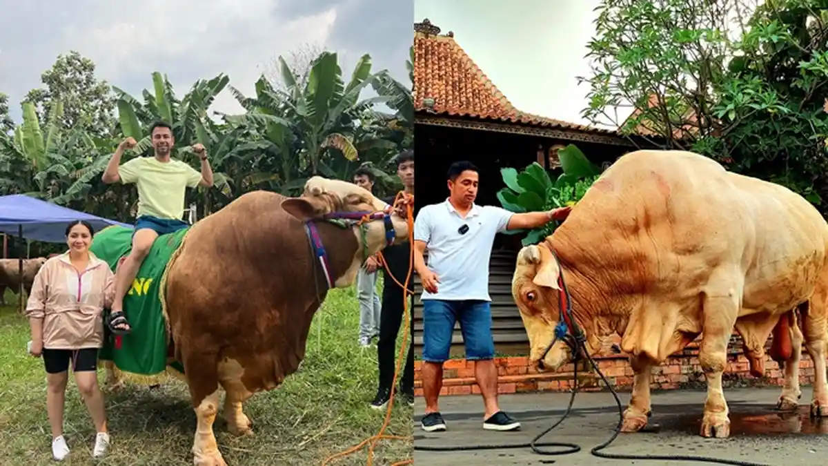 7 Potret Artis Indonesia yang Beli Hewan Kurban, Rayakan Hari Raya Idul Adha 1443 H