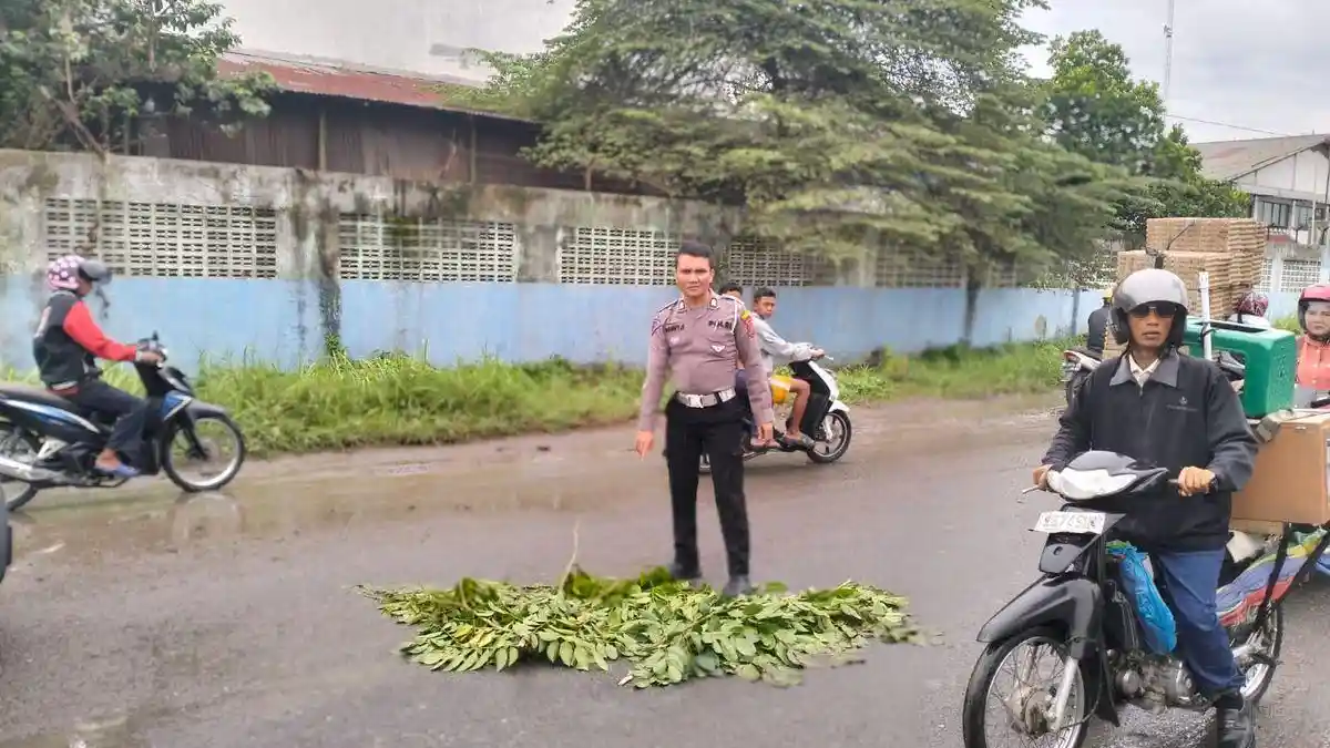 Balita 3 tahun Terlindas Truk Gara-gara Orangtua Gagal Nyalip, Ayah Ibunya Selamat