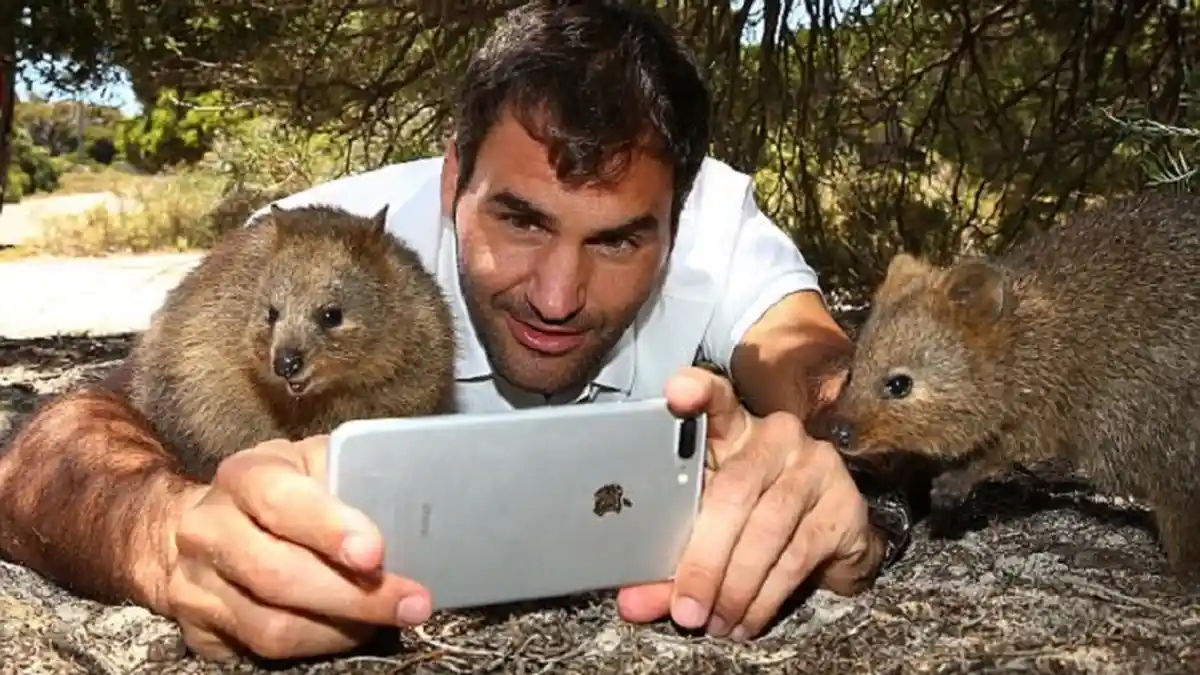 Roger Federer Selfie Bareng Quokka