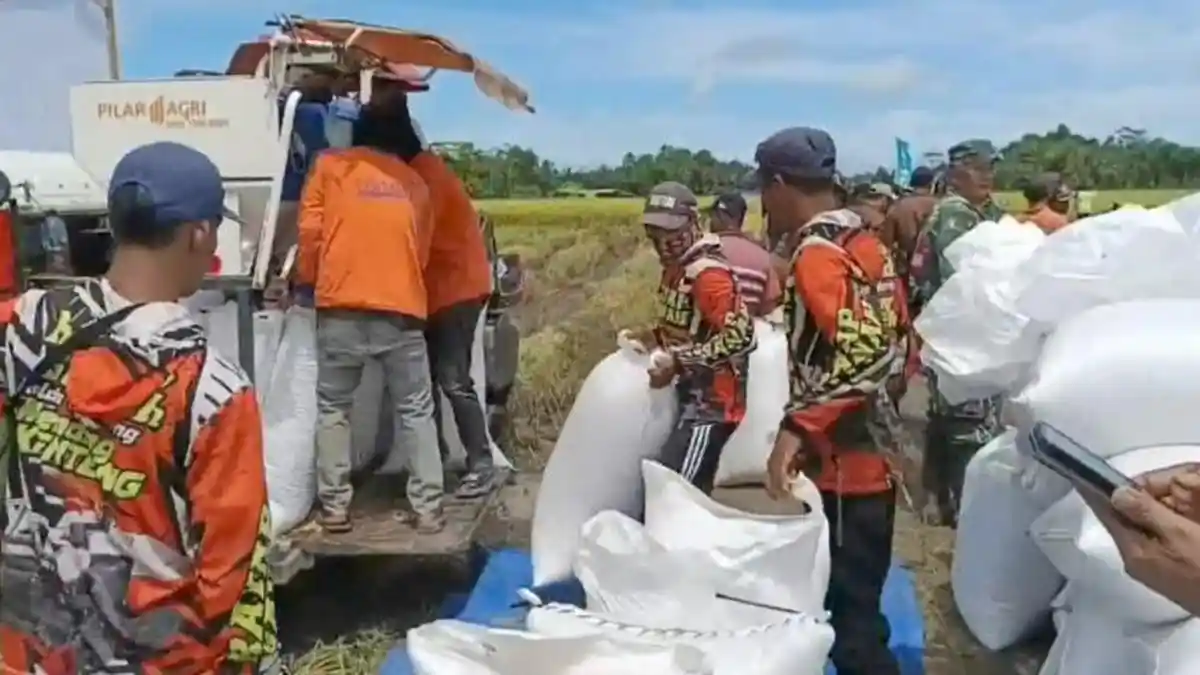 Petani Dibatasi Jual 10 Ton Gabah per Hari, DPRD Lampung Beri Solusi untuk Bulog 