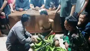 remaja-di-pati-diarak-curi-pisang.jpg