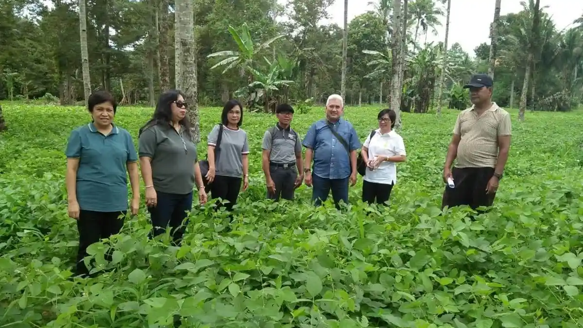 Jamin Penyediaan Benih Kedelai Bersertifikat, Kementan Canangkan Kegiatan P3BK